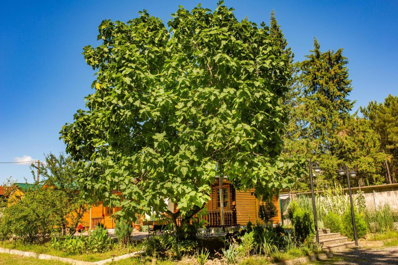 Eco Cottage Kutaisi Exterior photo